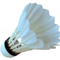 shuttlecock