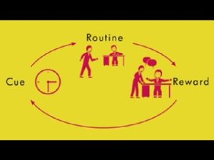 The habit loop, from The Power of Habit