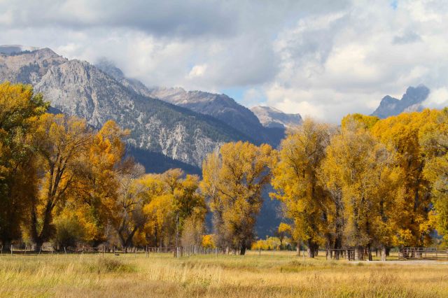 Mountains and fall foliage around Jackson, Wyoming, 